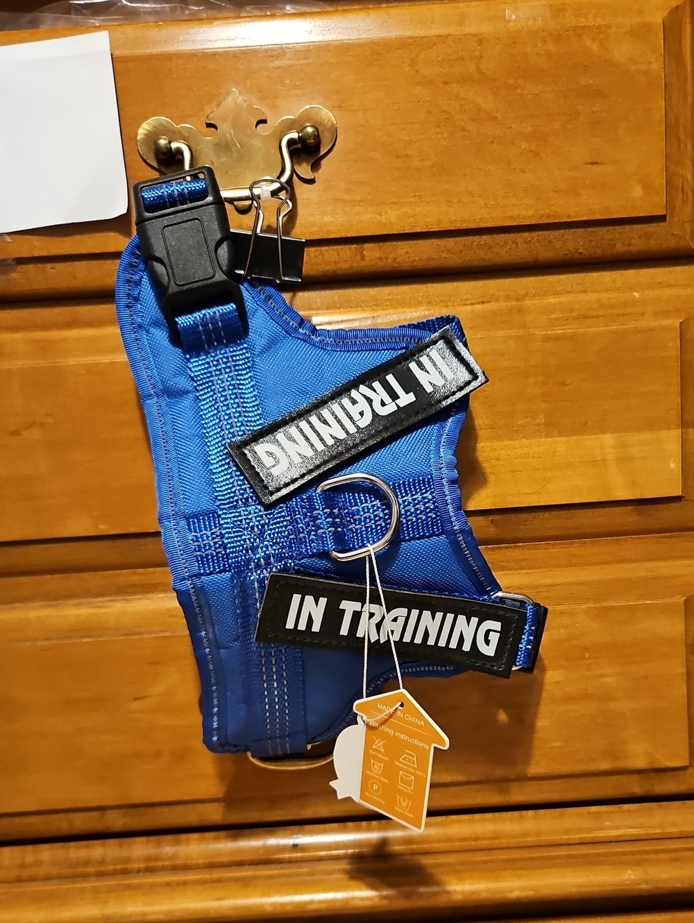 Noyal-Blue Reflective Dog Harness - In Training